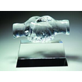 Friendship Optical Crystal Award